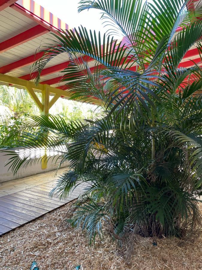 Jardin Sur Mer Terre-De-Haut Exteriör bild