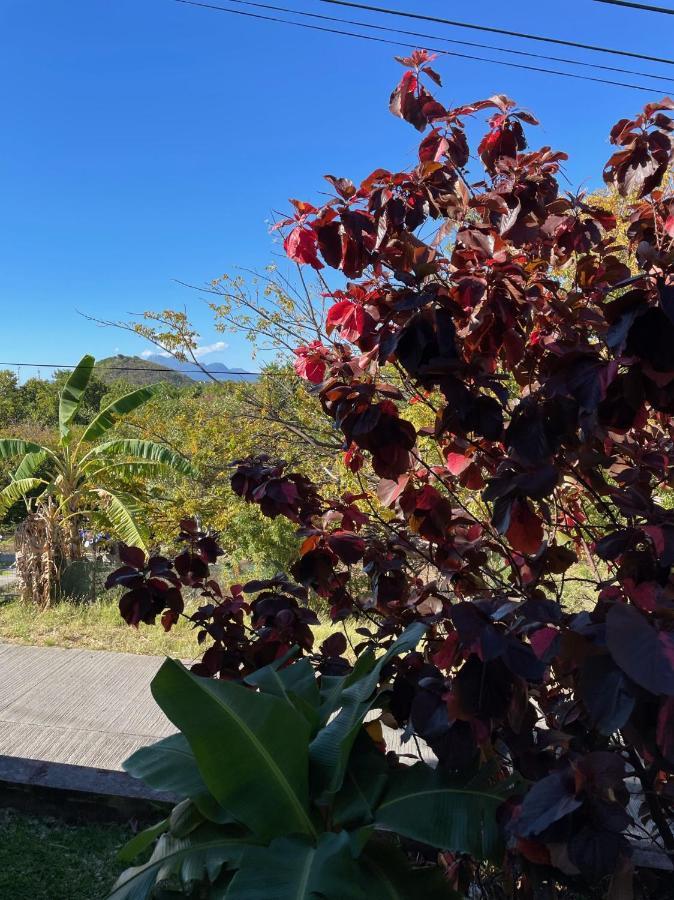 Jardin Sur Mer Terre-De-Haut Exteriör bild