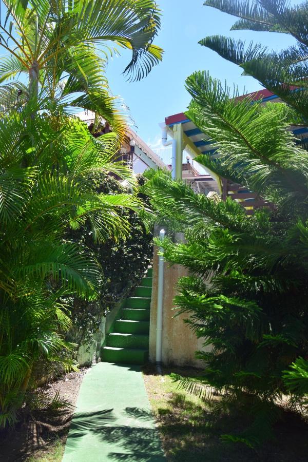 Jardin Sur Mer Terre-De-Haut Exteriör bild