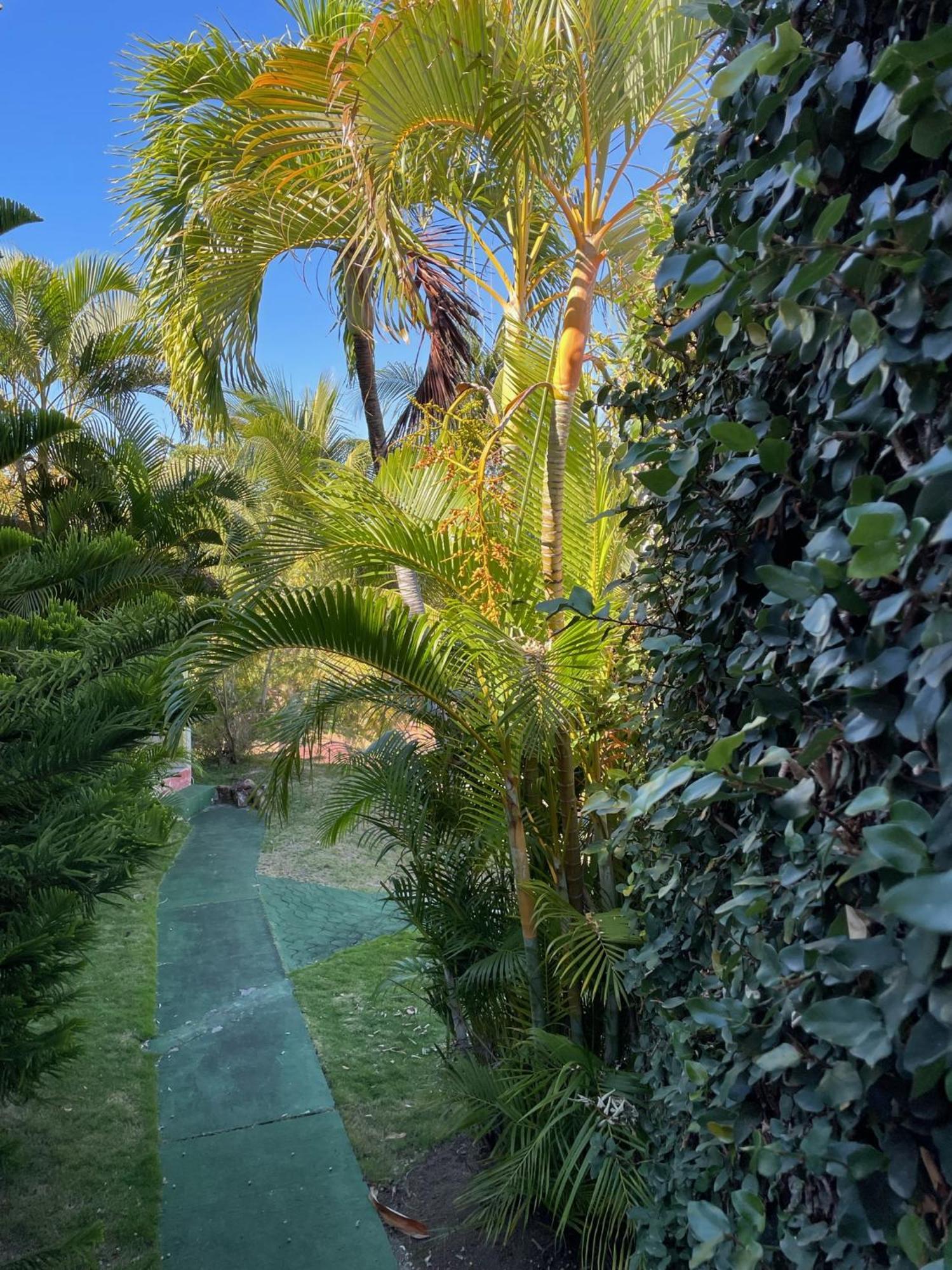 Jardin Sur Mer Terre-De-Haut Exteriör bild
